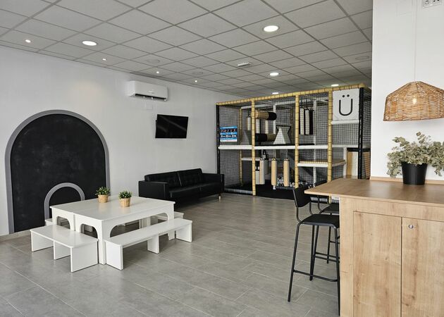 Galería de imágenes SALA PINGÜINO 2