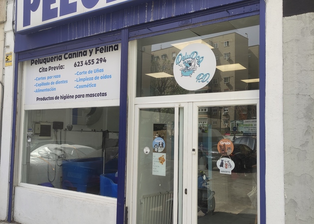 Galería de imágenes Peludog 1
