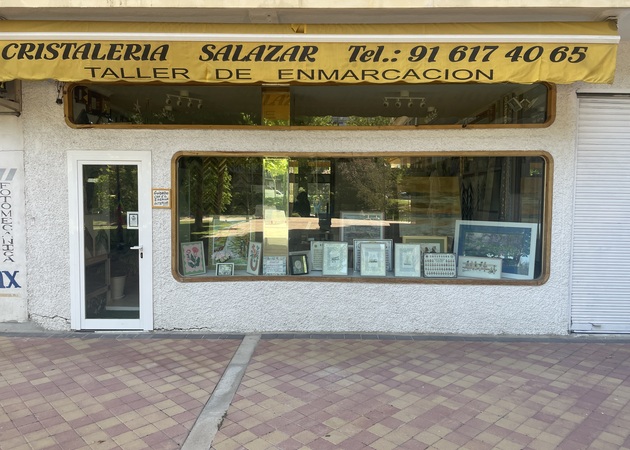Galería de imágenes Patricia salazar 1