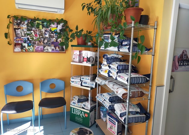 Galería de imágenes Clínica veterinaria Don Vito 1