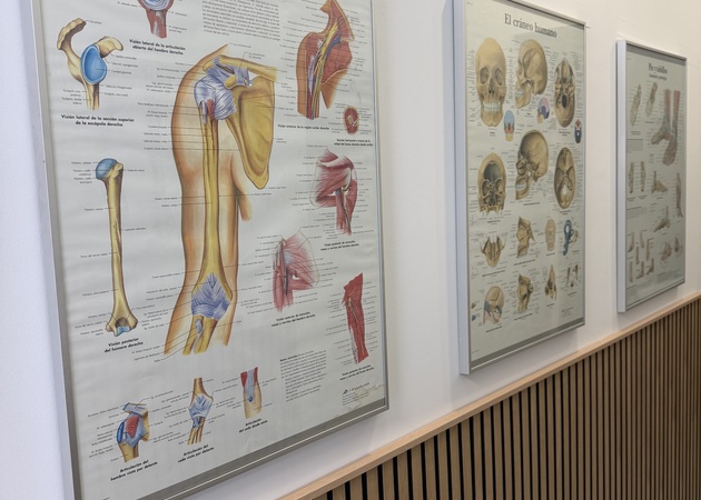 Galería de imágenes De Zero fisioterapia 2