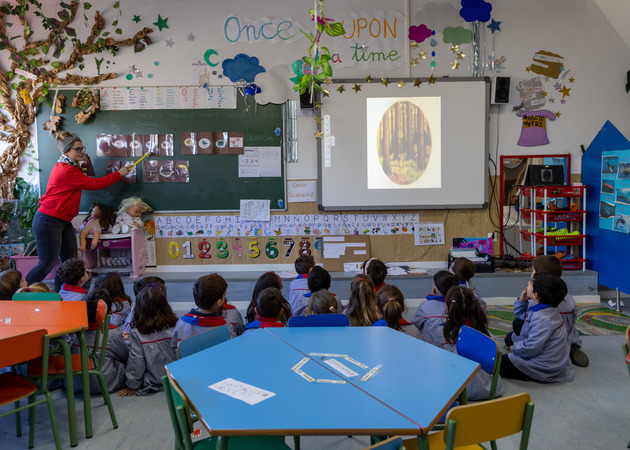Galería de imágenes Colegio Villa de Móstoles 6