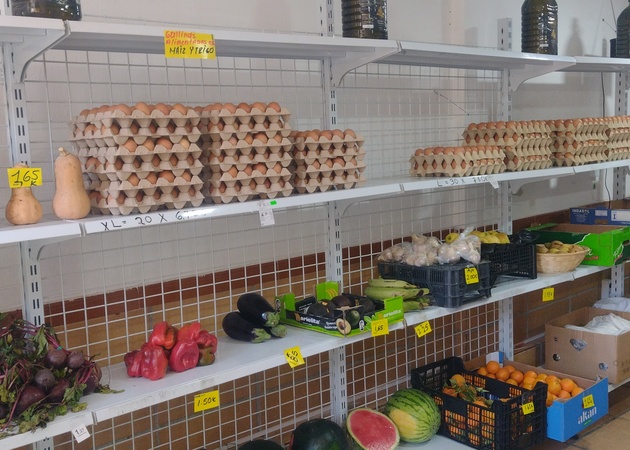 Galería de imágenes Arte.Sano Express 1