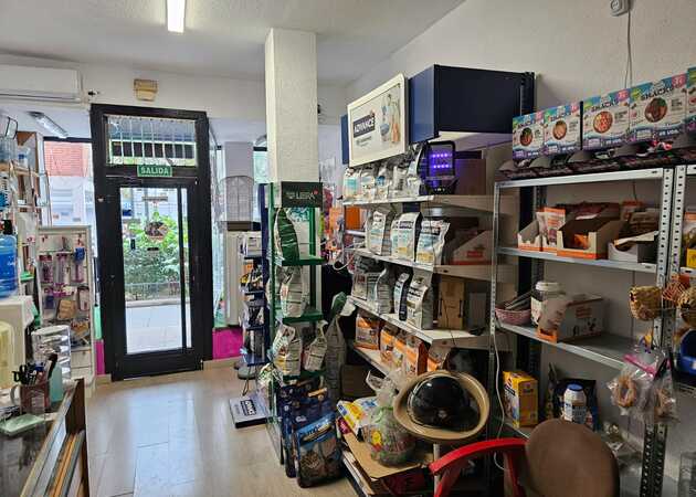 Galería de imágenes PELUQUERÍA CANINA CLARA Y LUNA 1