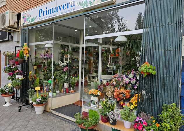 Galería de imágenes FLORISTERÍA PRIMAVERA 1