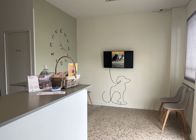 Galería de imágenes Clínica Mascotas 1