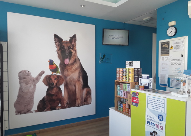 Galería de imágenes CLINICA VETERINARIA PERSEO 1