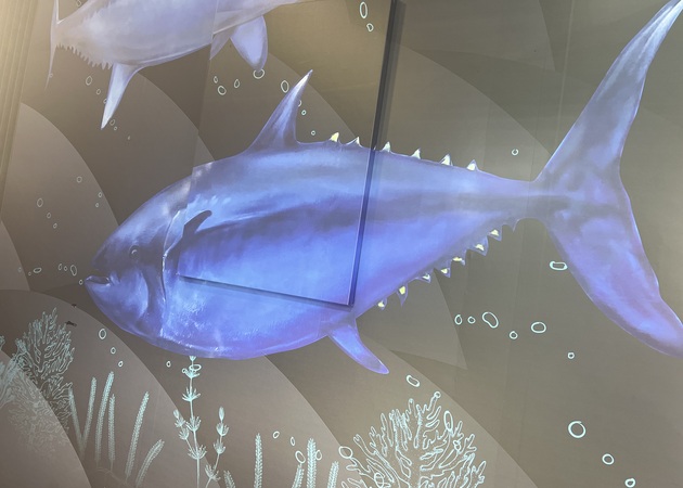 Galería de imágenes Pescaderías De Tito 1