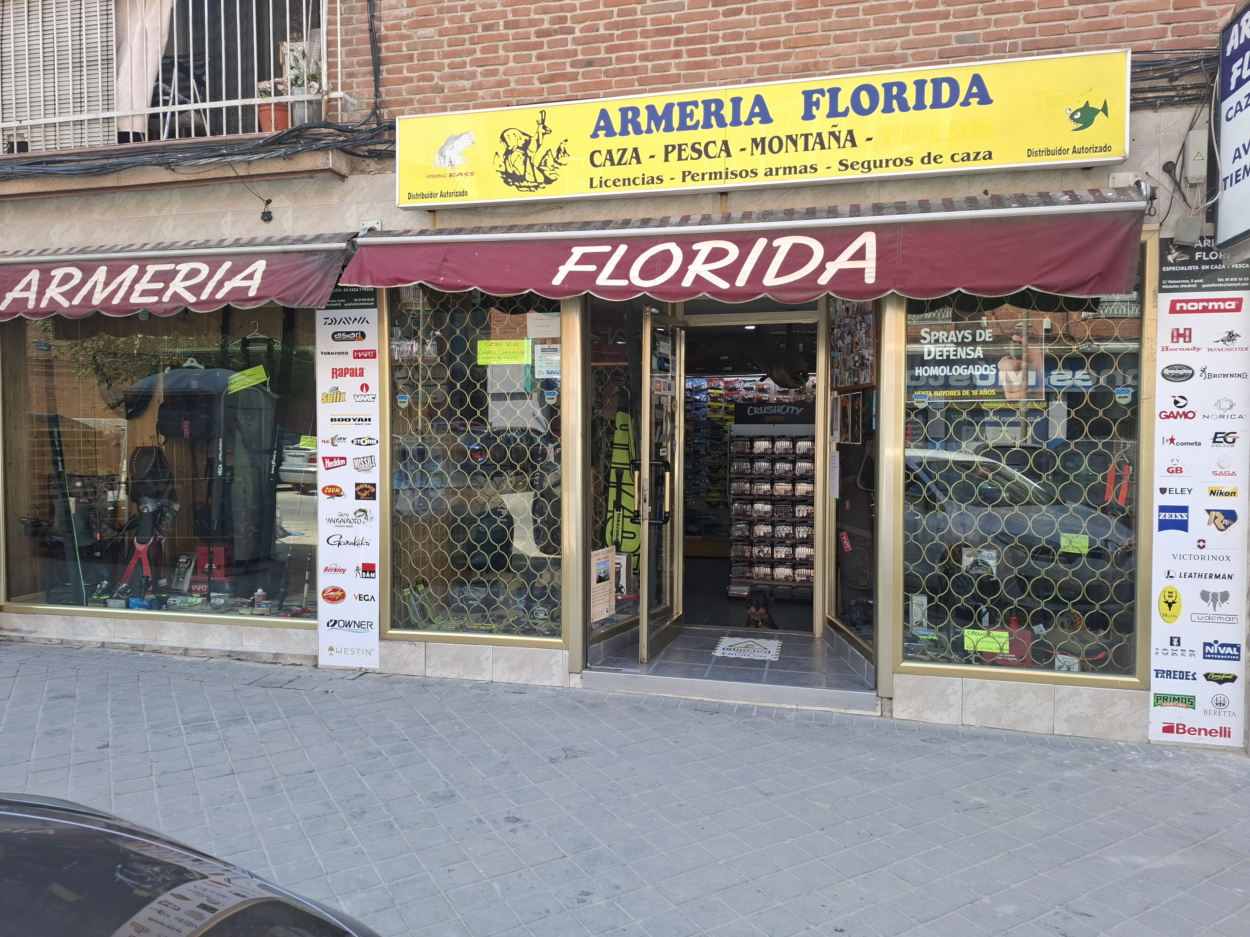 Foto de portada ARMERIA FLORIDA