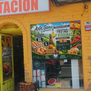 Foto de portada Arte.Sano Express