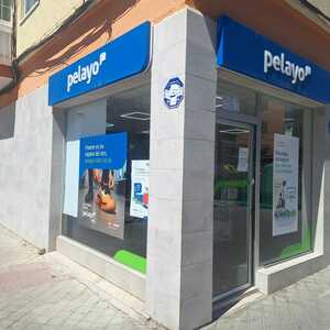 Foto de portada PELAYO
