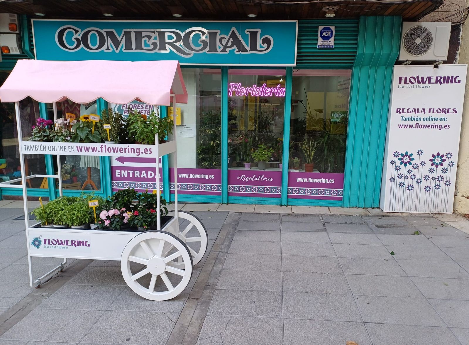 Foto de portada FLOWERING MÓSTOLES