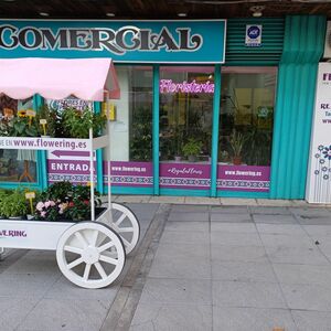 Foto de portada FLOWERING MÓSTOLES