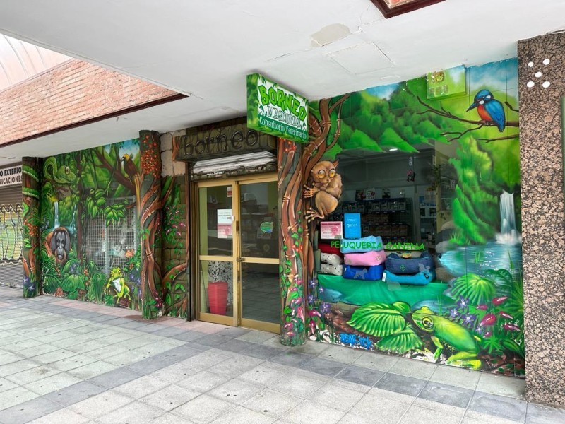 Foto de portada MASCOTAS BORNEO