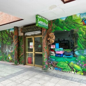 Foto de portada MASCOTAS BORNEO