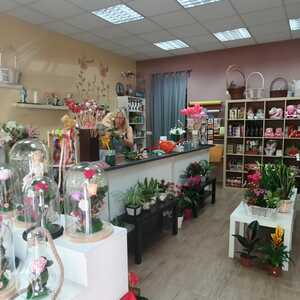 Foto de portada FLORISTERÍA MAMEN