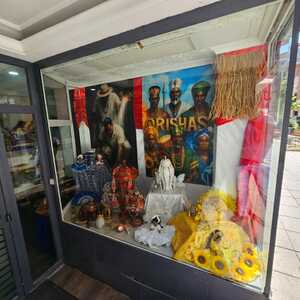 Foto de portada OMI TUTO