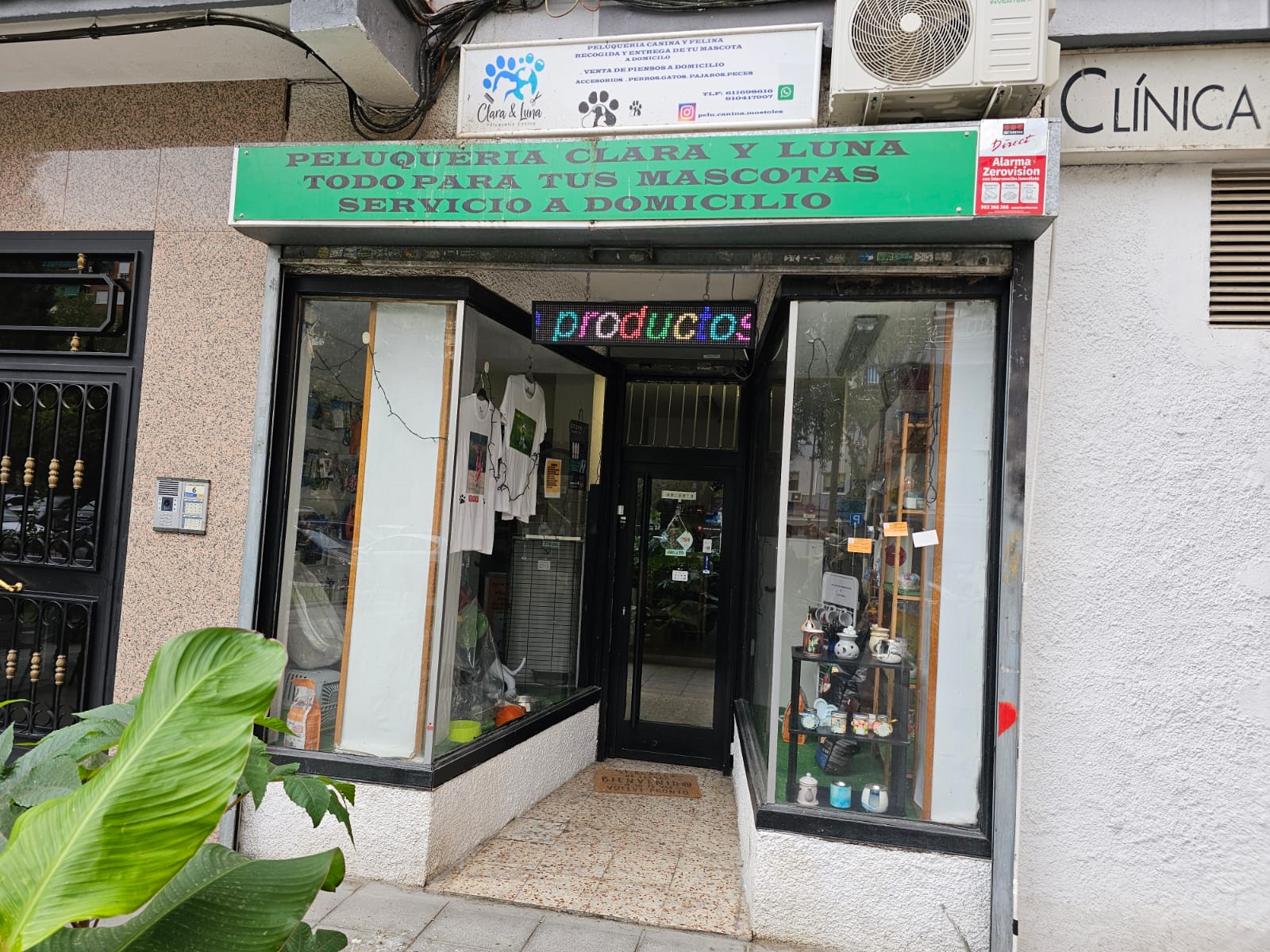 Foto de portada PELUQUERÍA CANINA CLARA Y LUNA