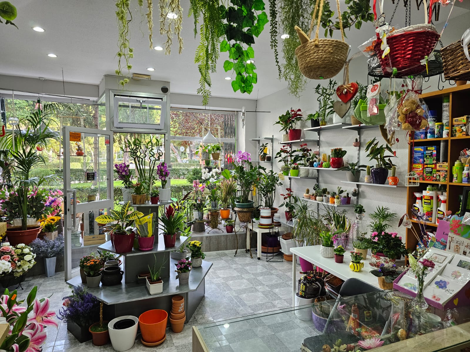 Foto de portada FLORISTERÍA PRIMAVERA