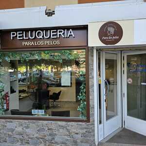 Foto de portada PARA LOS PELOS