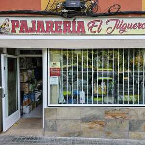 Foto de portada PAJARERÍA EL JILGUERO