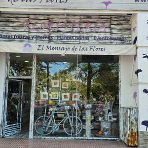 Foto de portada EL MENSAJE DE LAS FLORES