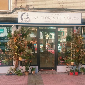 Foto de portada LAS FLORES DE CARLOS