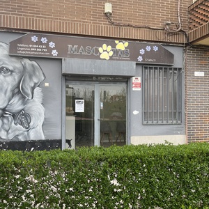 Foto de portada Clínica Mascotas