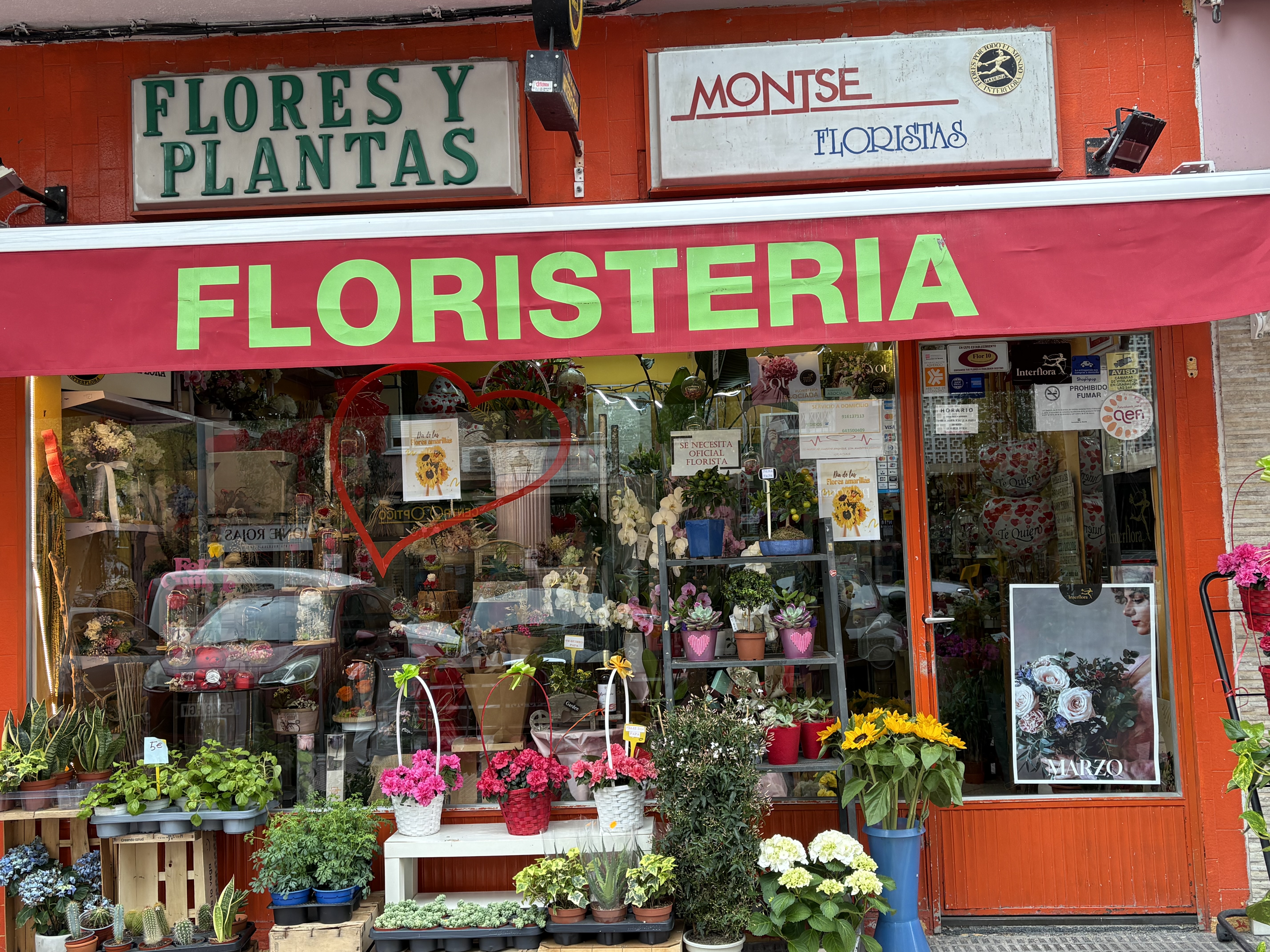 Foto de portada Floristeria Montse