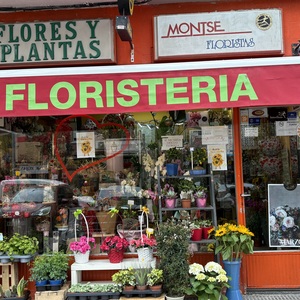 Foto de portada Floristeria Montse